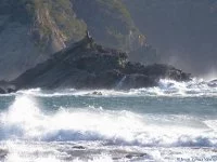 TempÃªte sur le Brusc