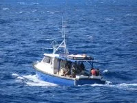 L'équipe de visite à bord du navire suspect