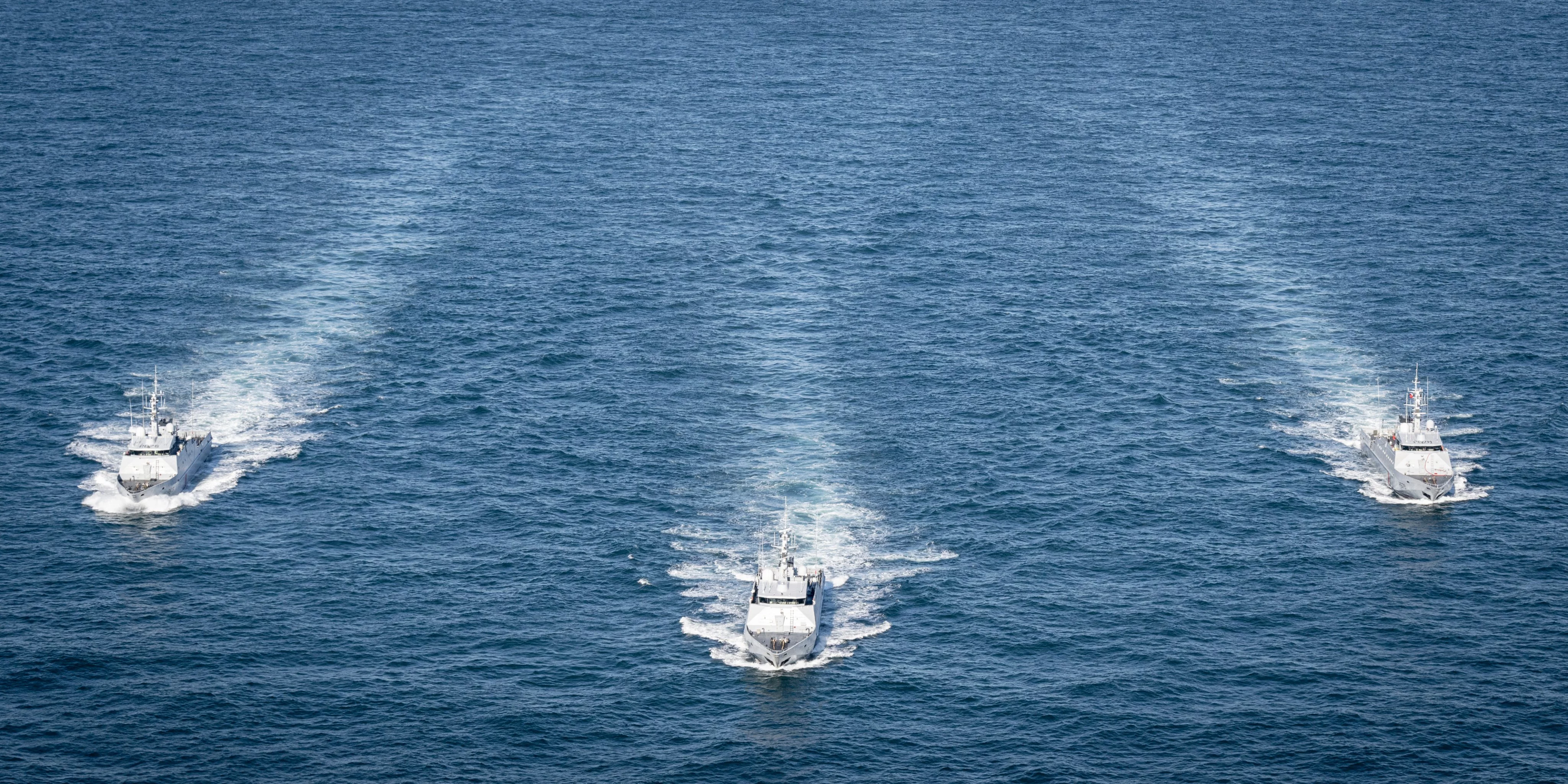 Les trois patrouilleurs de service public Flamant, Cormoran et Pluvier