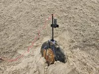 Un obus préparé par les plongeurs-démineurs en vue de sa neutralisation