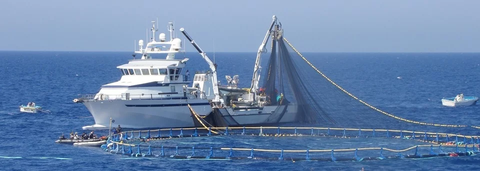 Contrôle d'un senneur