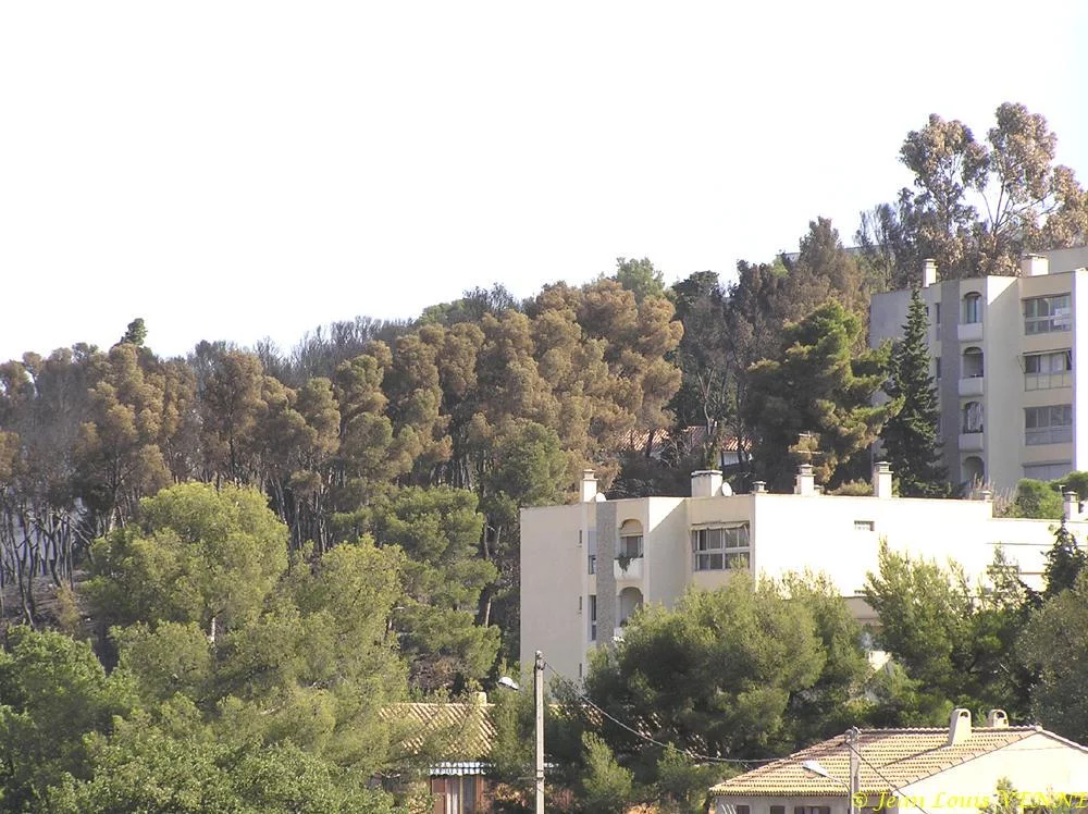 Les dégâts provoqués par l'incendie au CIN St Mandrier