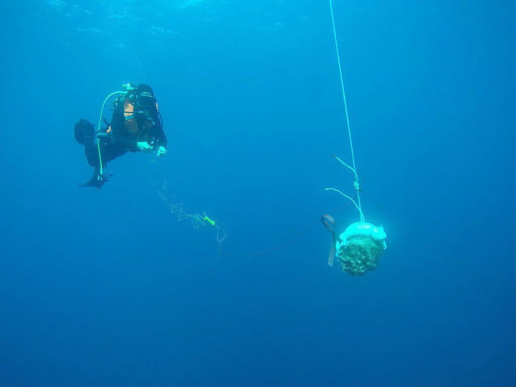 Pétardement d'une munition historique