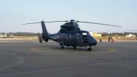 Le Dauphin N 6091