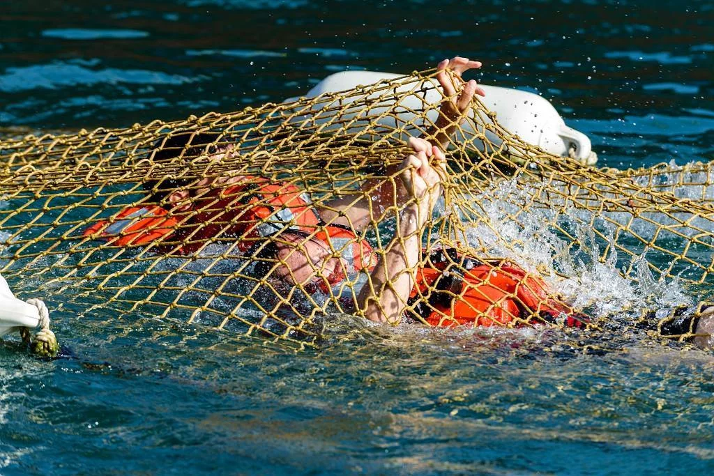 Challenge aquatique au sein de la base navale de Toulon