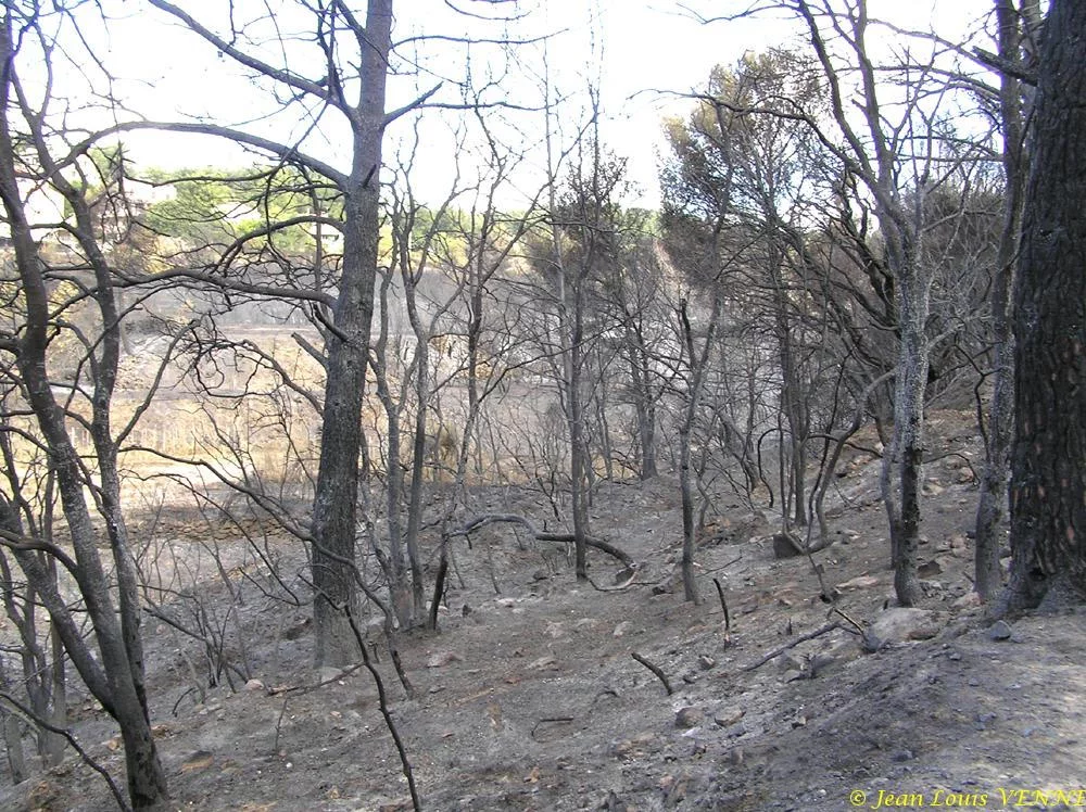 Les dégâts provoqués par l'incendie au CIN St Mandrier