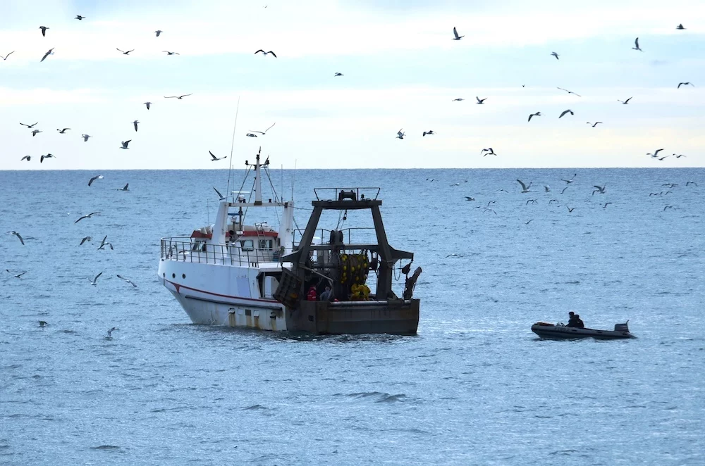 Contrôle d'un chalutier