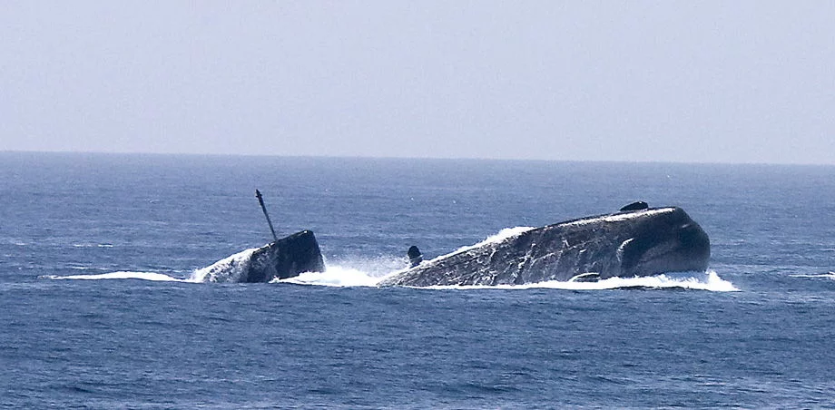 Le HMS Tireless