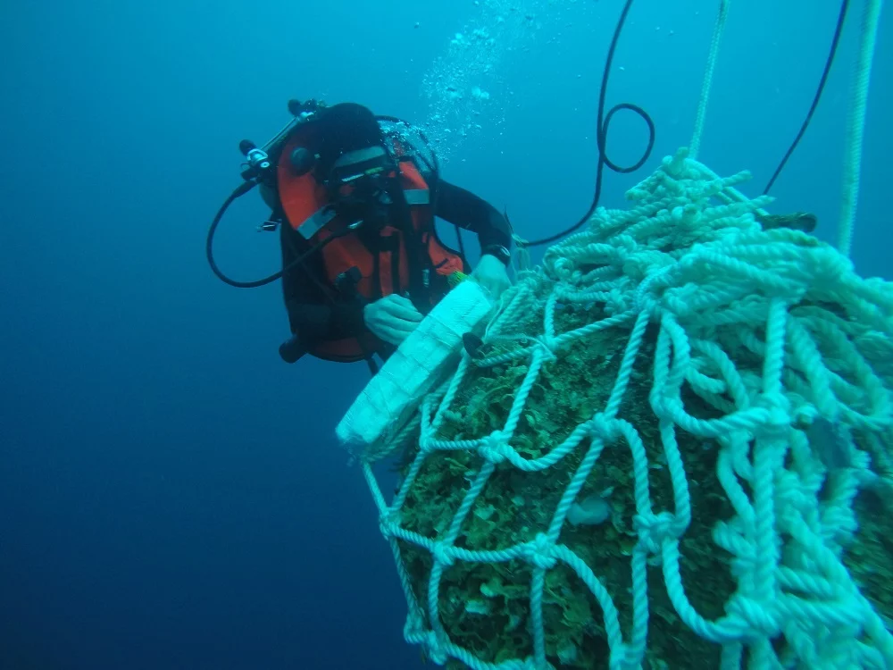 Un plongeur-démineur prépare le pétardement d'une mine à orin