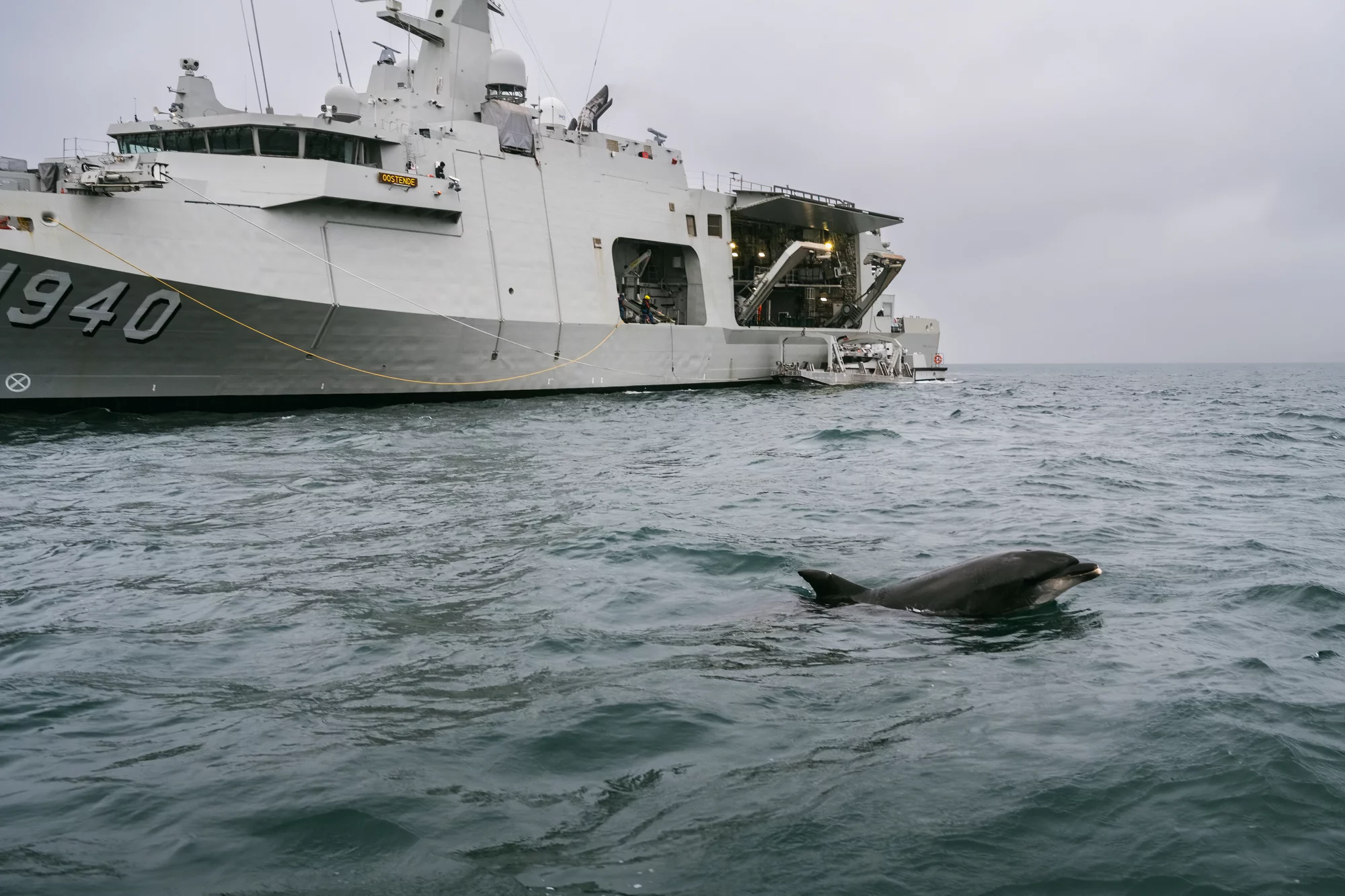 Le nouveau chasseur de mines de la Marine Oostende en baie de Douarnenez visité par un dauphin