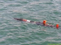 Le drone anti-mines REMUS