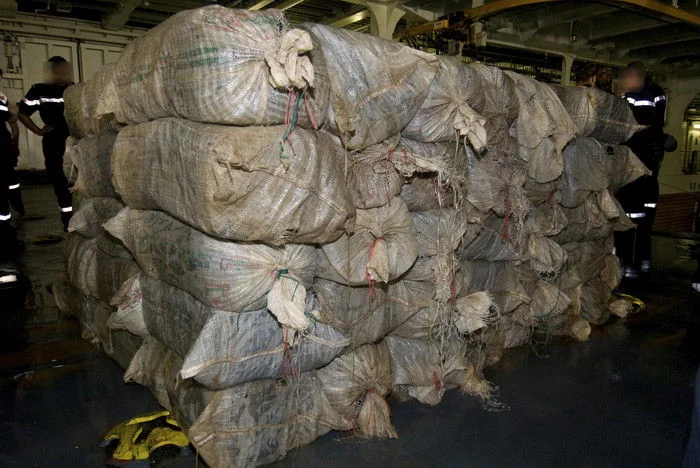 Vue d'ensemble de la drogue saisie