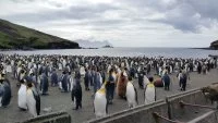La frégate Floréal au large de l'île Crozet