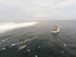 Le patrouilleur Fulmar à proximité des glaces